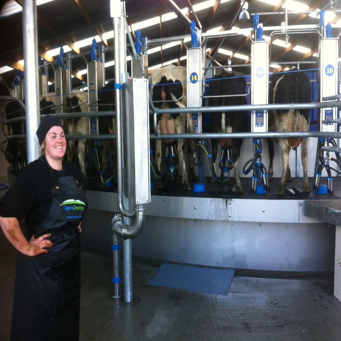 Milking farm shed by We Do It All Ltd